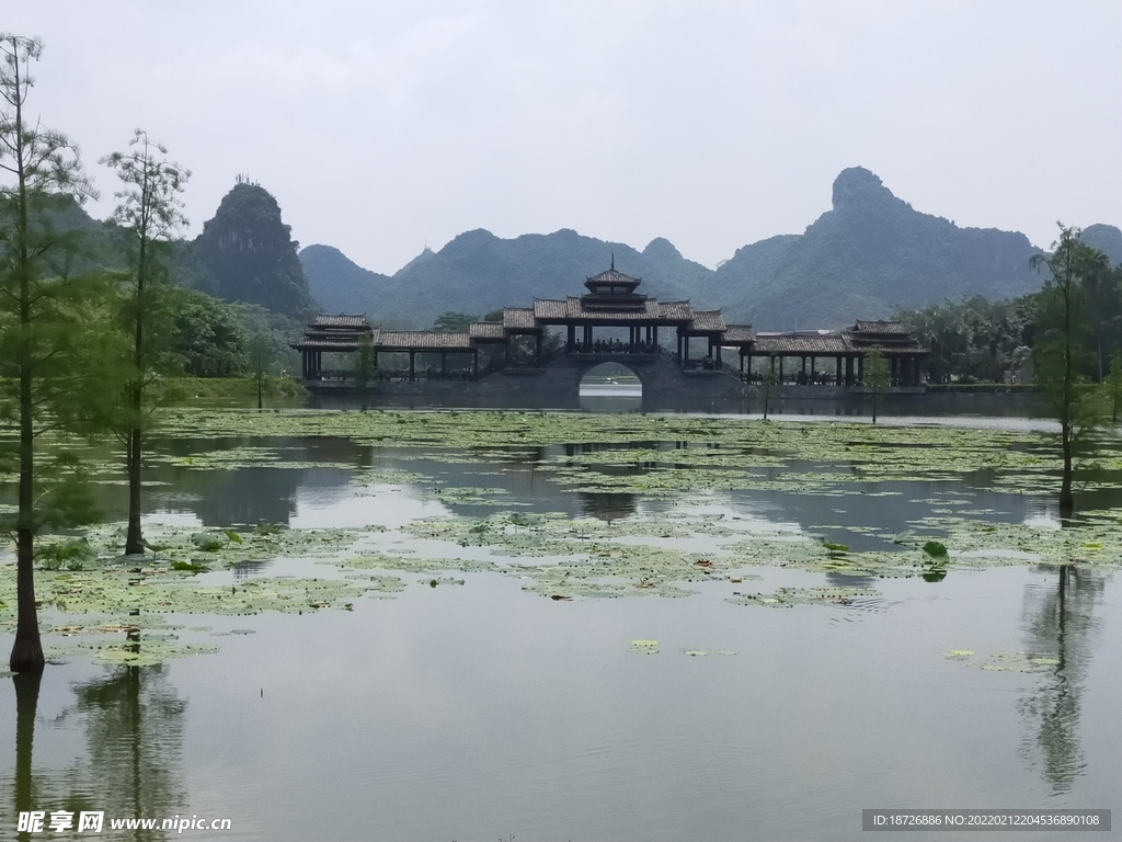风景