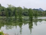 风景