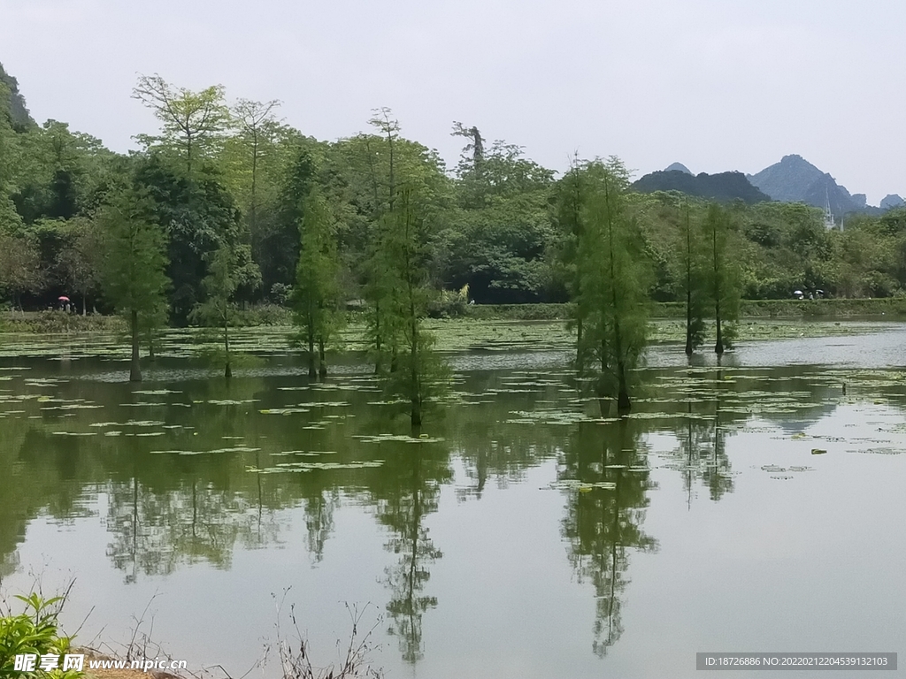 风景