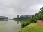 风景