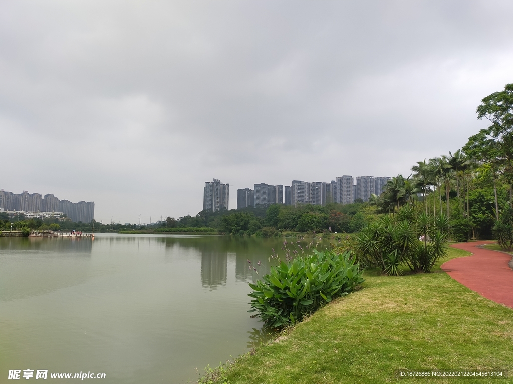 风景