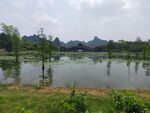 风景