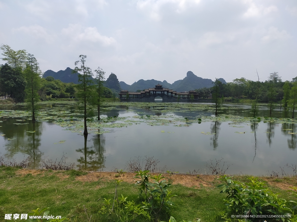 风景