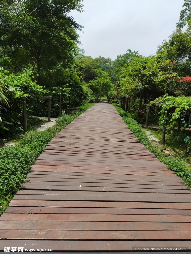 小路