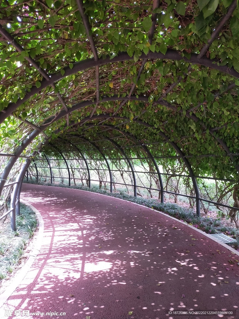 小路