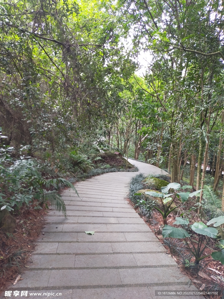 小路