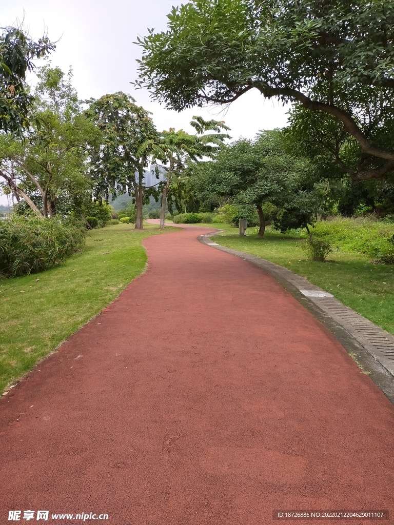 道路
