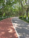公园小路