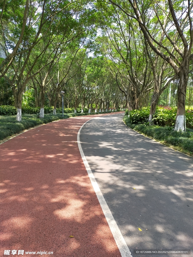 公园小路
