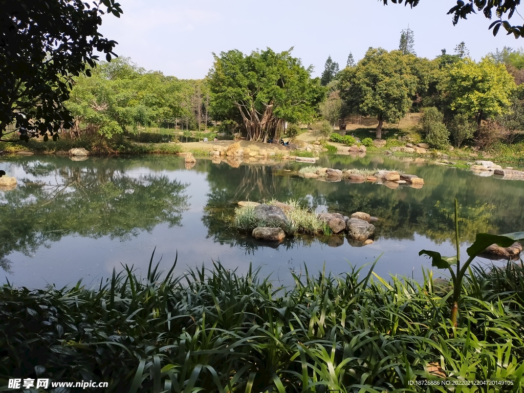 风景