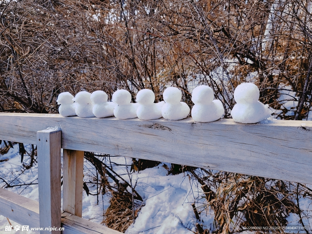 雪山之旅