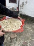  包饺子 春节 元宵