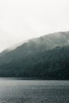 风景