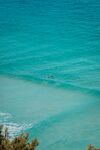 海