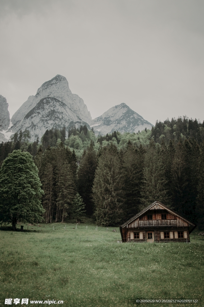 风景