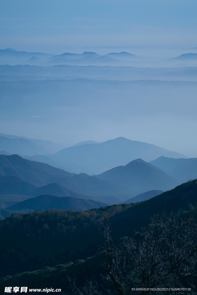 风景