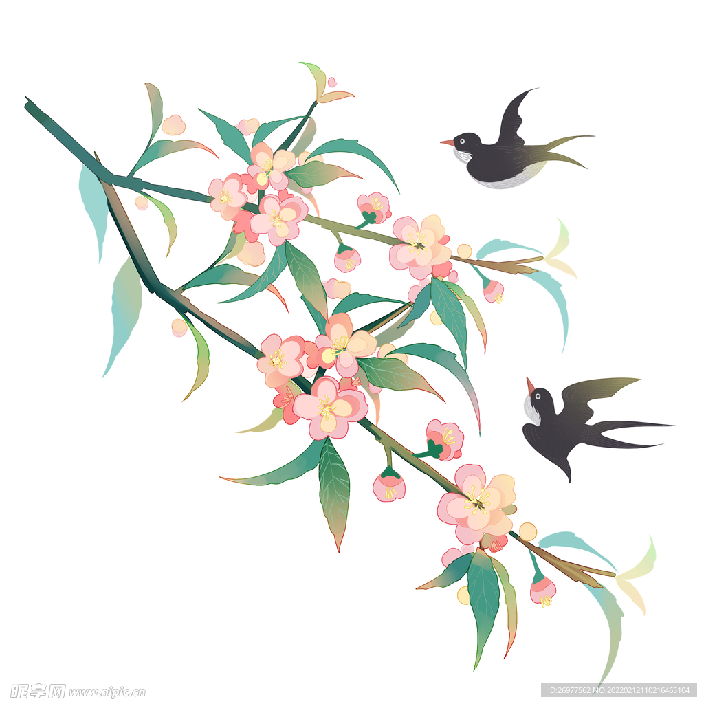  立春桃花 