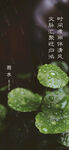 雨水谷雨节气海报