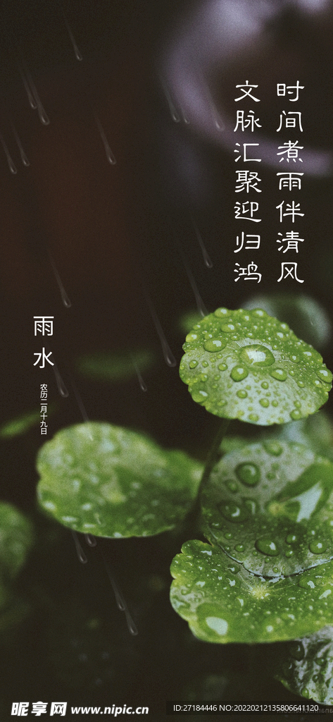雨水谷雨节气海报