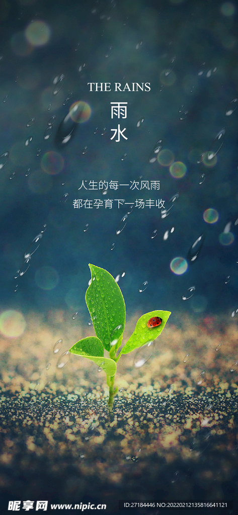 雨水谷雨节气海报