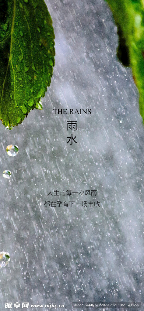 雨水谷雨节气海报