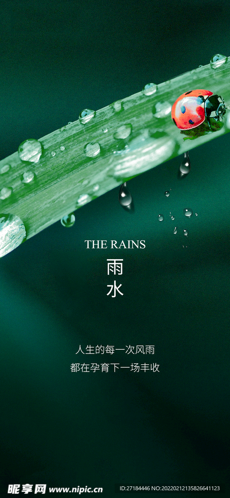 雨水谷雨节气海报