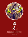 立春海报