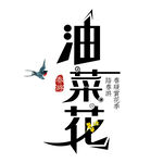 油菜花 