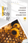 每日签到