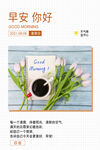 每日签到