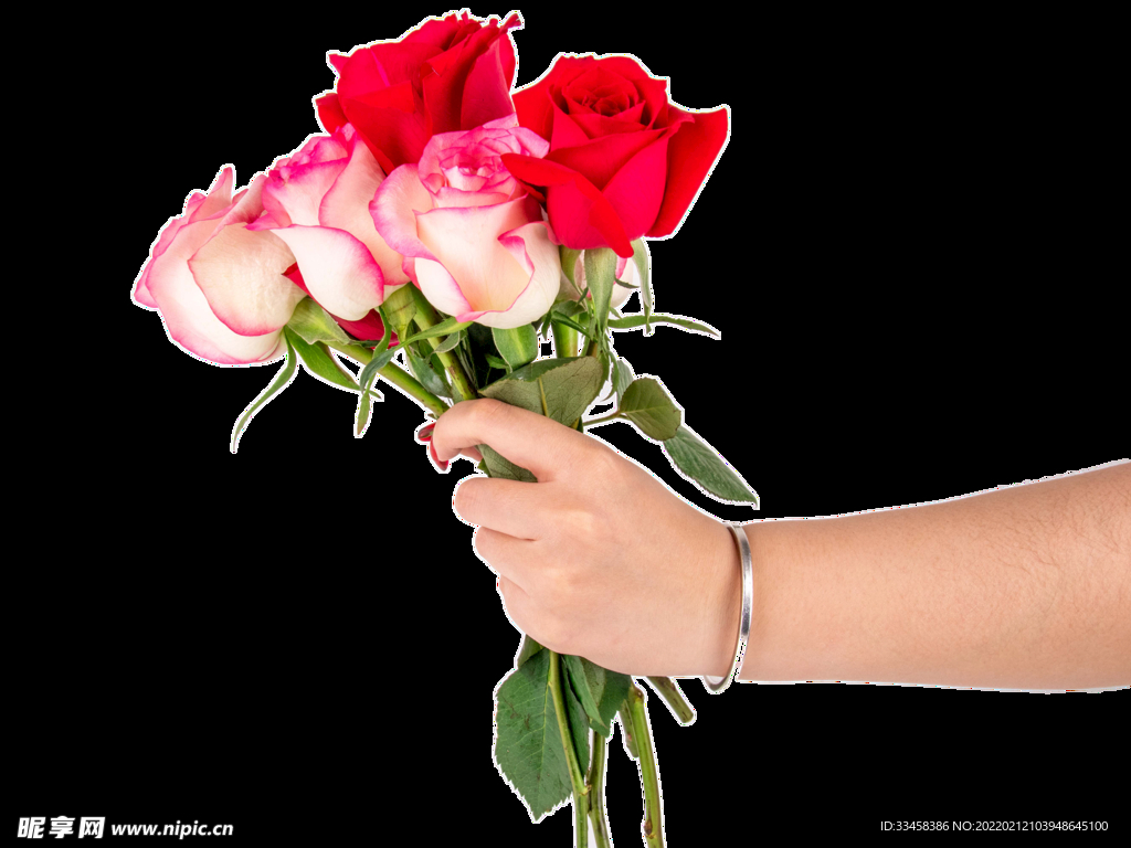 手拿玫瑰素材-手拿玫瑰图片-手拿玫瑰素材图片下载-觅知网