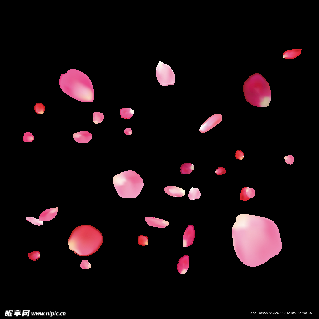 漂浮玫瑰花瓣女神节素材