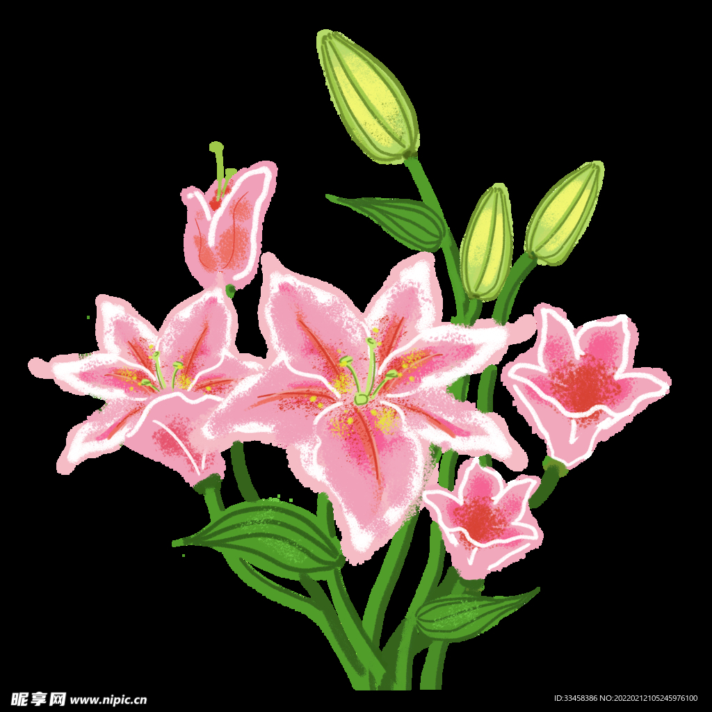 手绘百合花束小清晰装饰