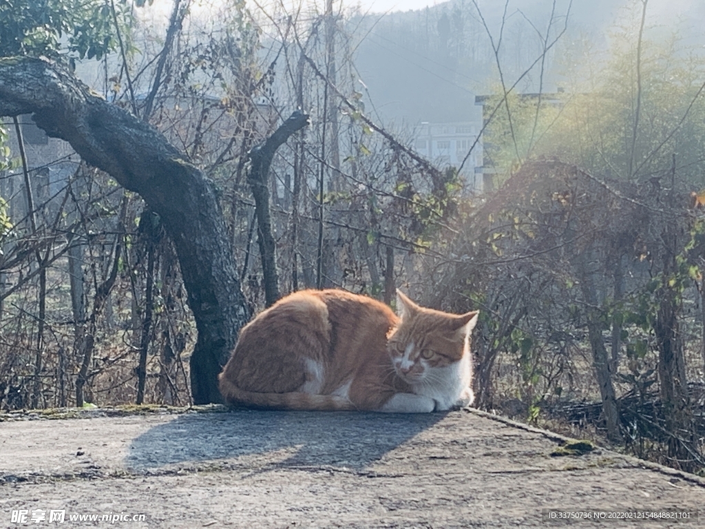 阳光沐浴