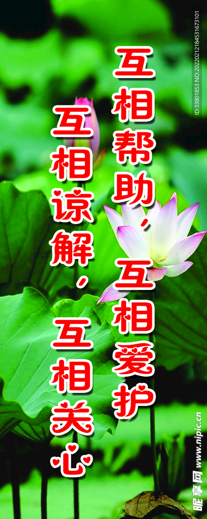 爱护帮助