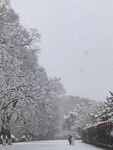 南京雪景