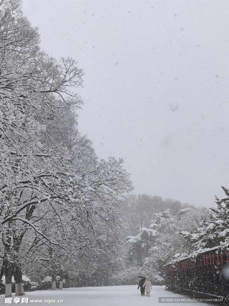 南京雪景