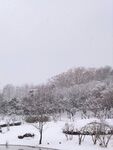 南京雪景