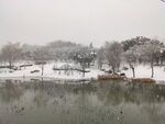 南京雪景