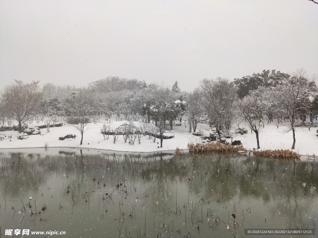 南京雪景