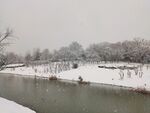 南京雪景