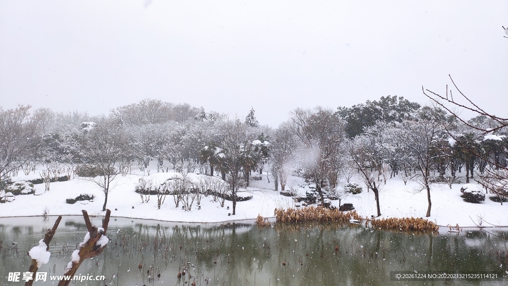 南京雪景