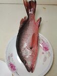 小红鱼