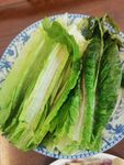生菜