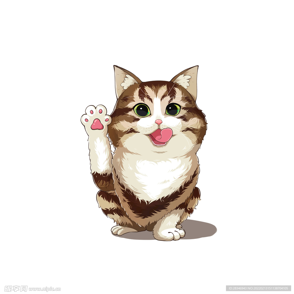 猫