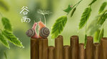 谷雨