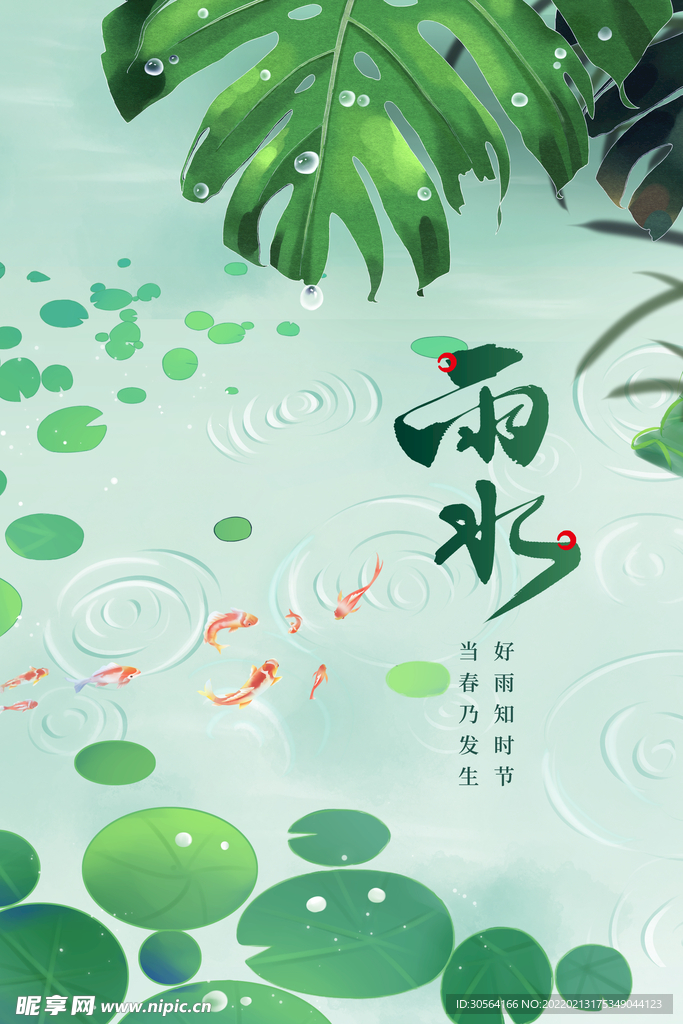 雨水