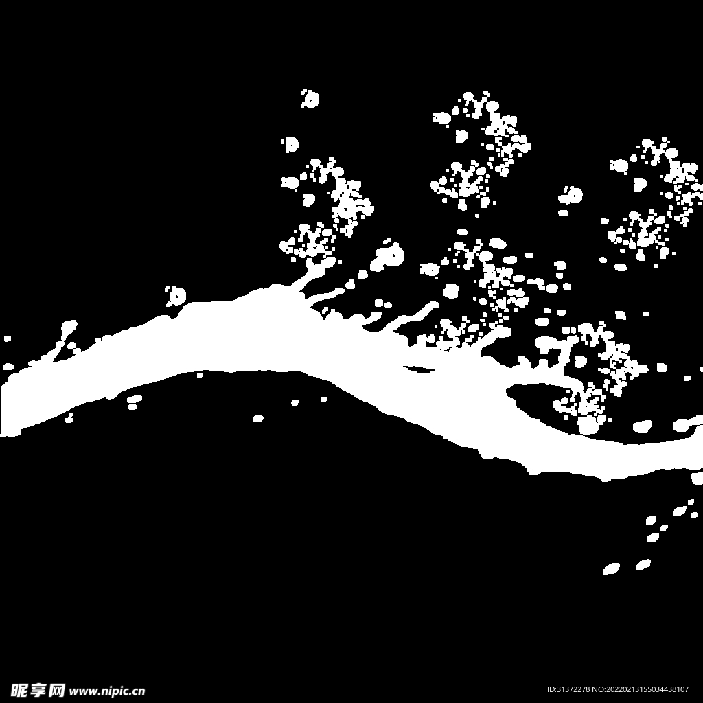 水花图片 