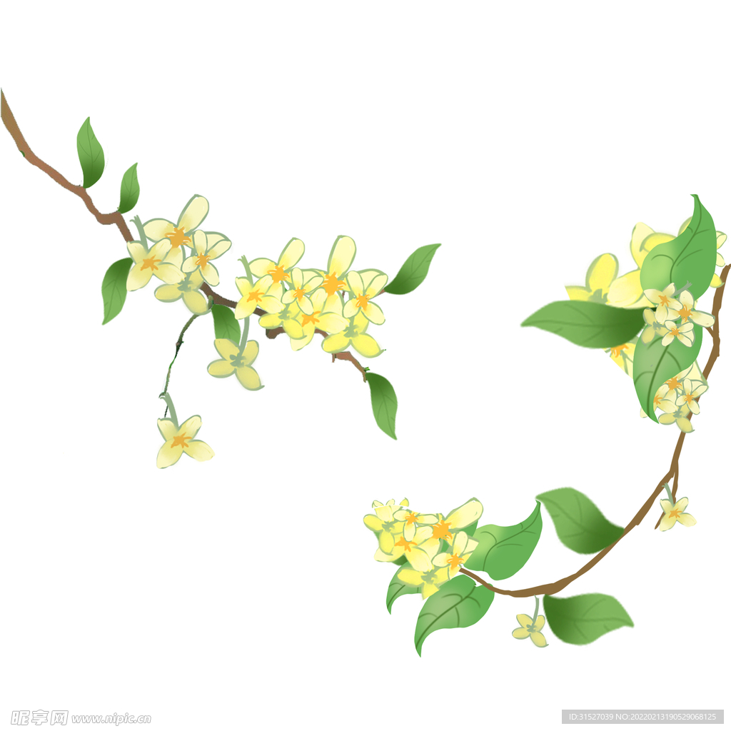 金色桂花素材