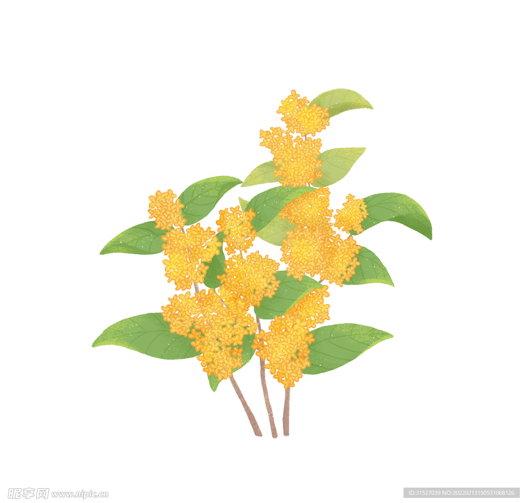 金色桂花素材